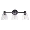 Kenroy Home Edis 3-Light Glass Vanity Light