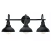 Kenroy Home Rustic 3-Light Vanity Wall Light
